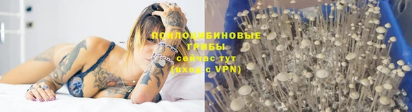 метамфетамин Аркадак
