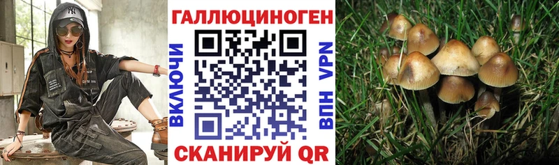Галлюциногенные грибы ЛСД  Багратионовск 